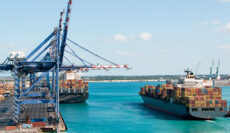 Container Truck Container Truck