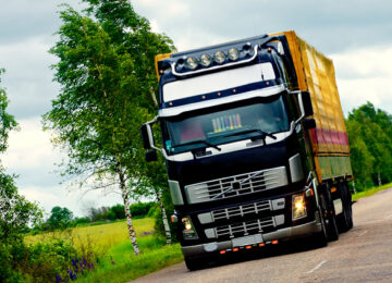 In Pede Mi Aliquet Sit Amet Euismod In Auctor