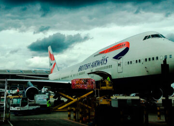 Ut Pharetra Augue Nec Augue